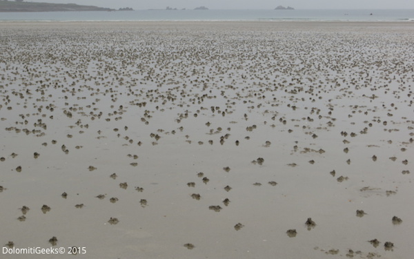La plage de St Jean du Doigt