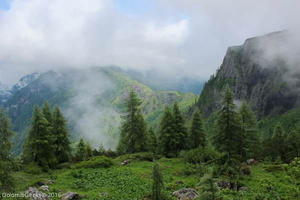 Les crêtes vu de Malga Valbona