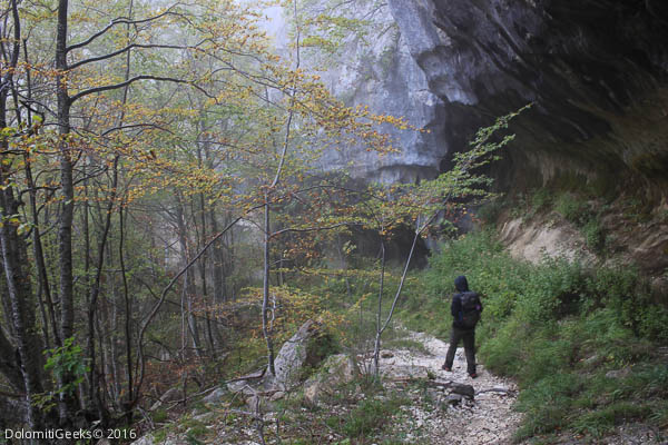 Les falaises dans les bois
