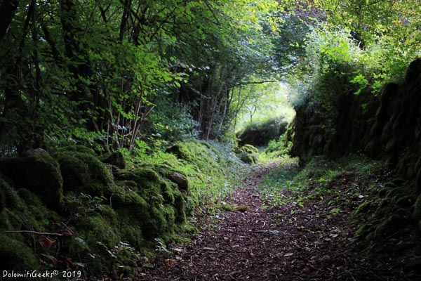 Les sentiers cachés de Taibon