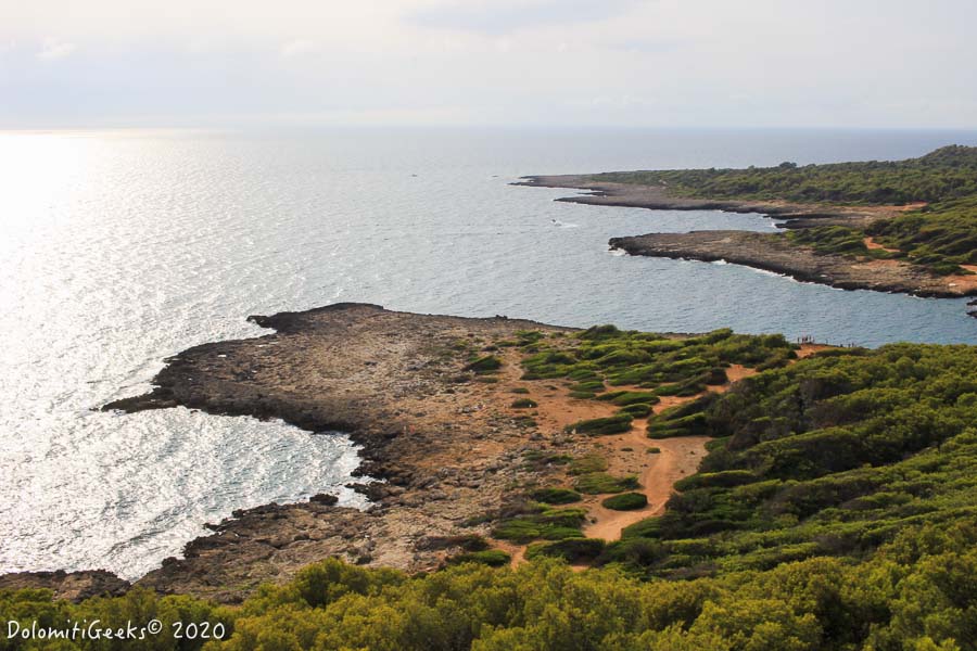 Le belvédère du parc