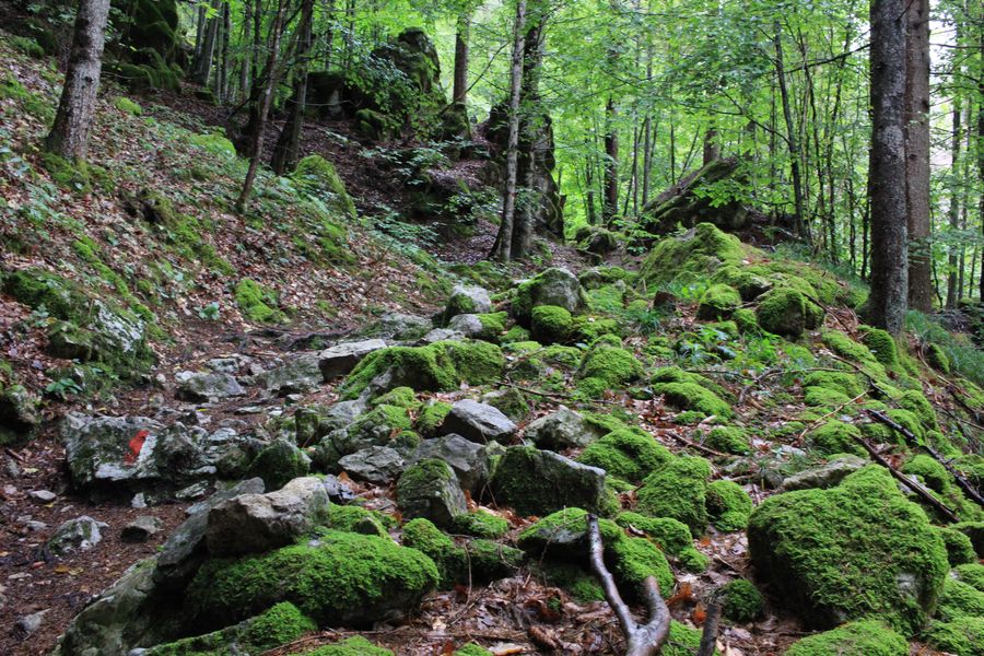 au-dessus de Col di Pra