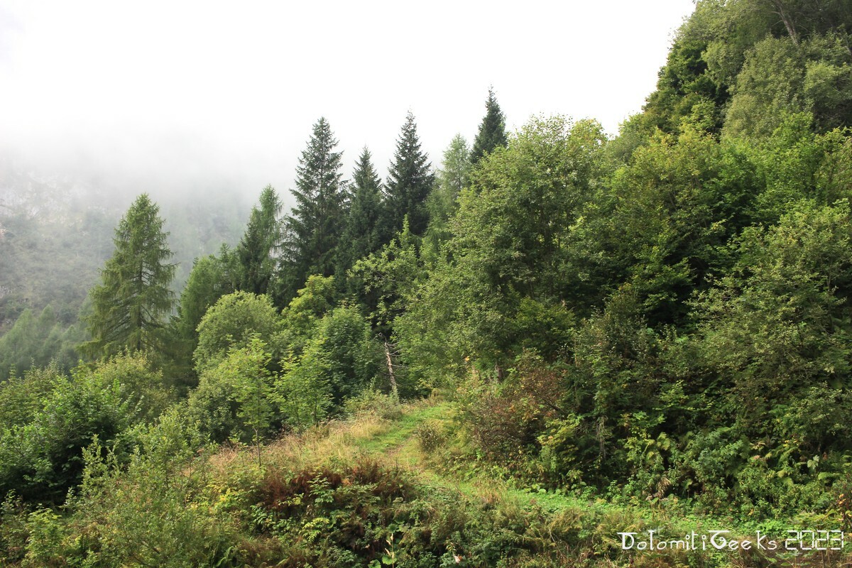 Malga Pian della Stua