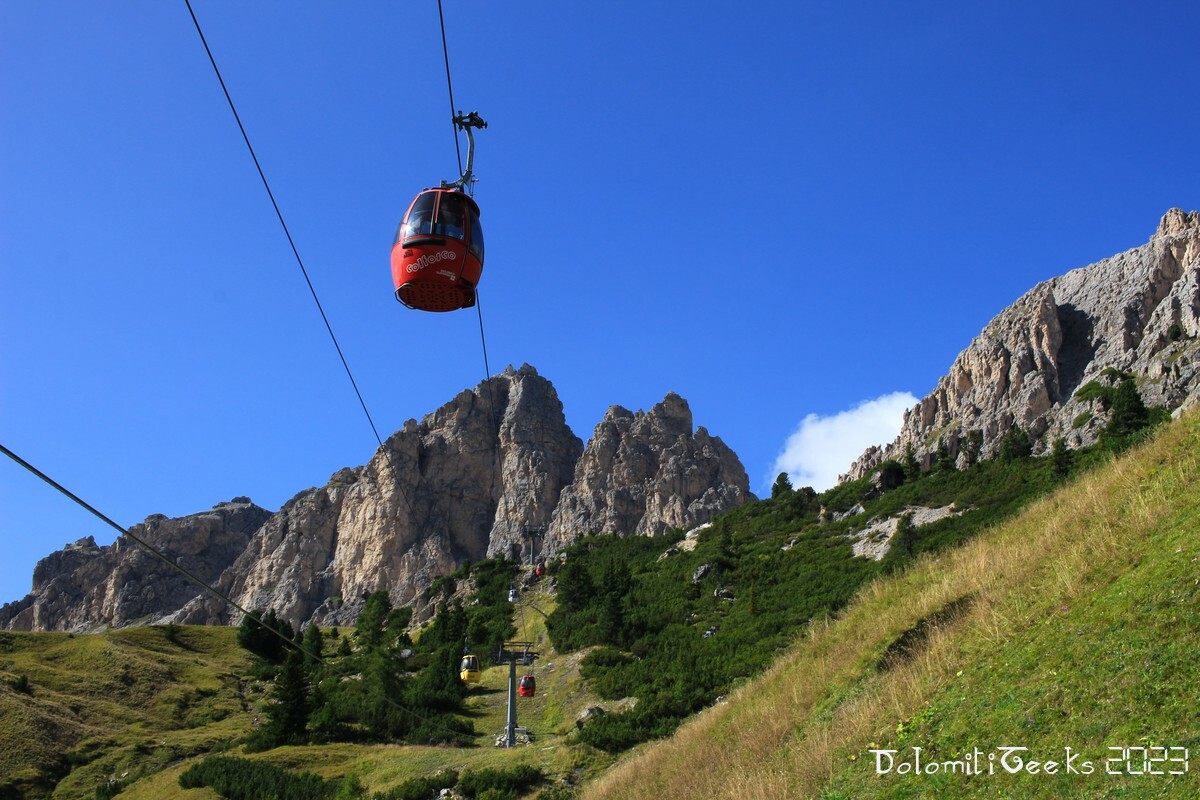 Oeufs devant les Cir