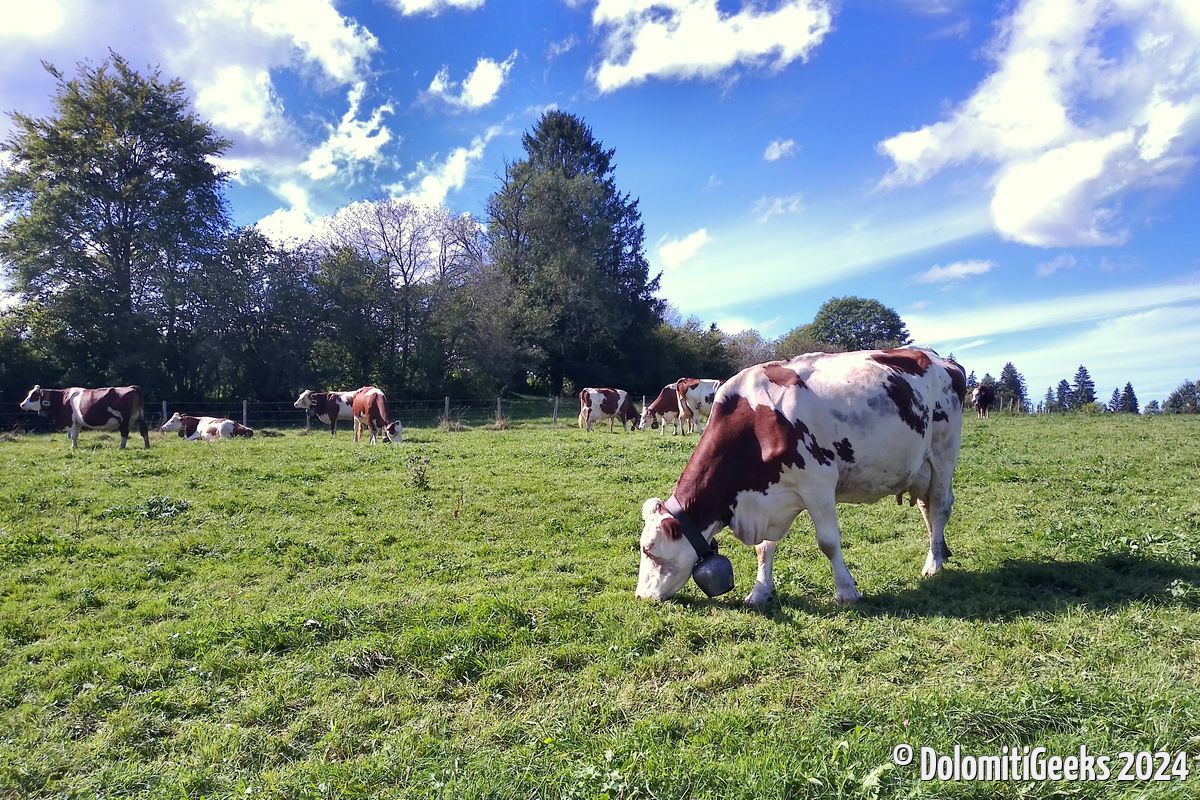 Balade au-desus de Port Titi