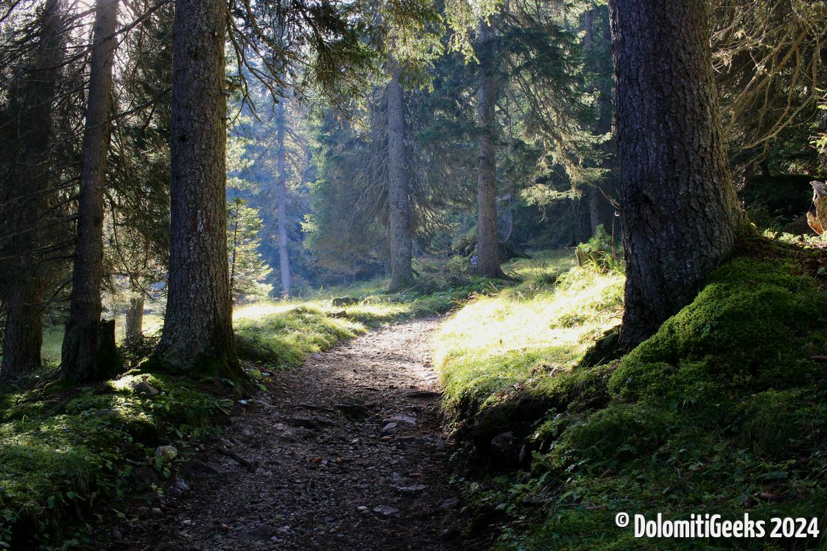 Sentier et belle lumière