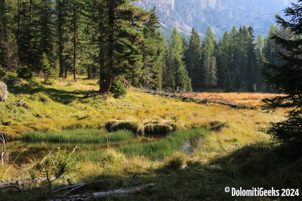 étendue d'eau... et belle lumière