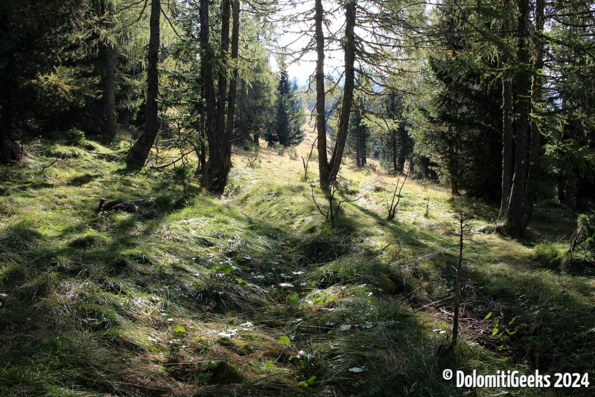 Près des crêtes... et belle lumière